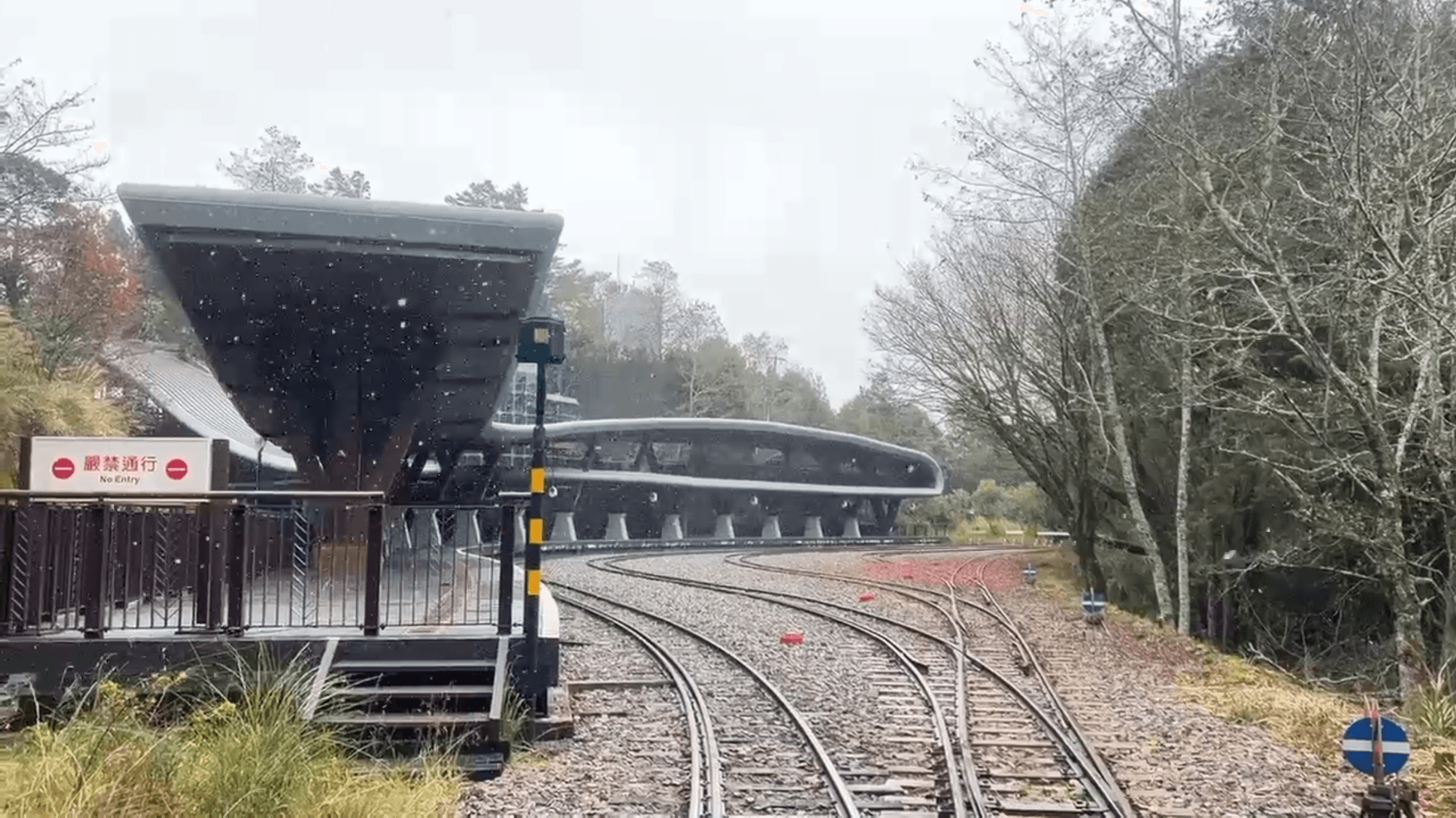 冷爆!平地急凍6度 阿里山美飄雪1/阿里山下雪了! 短暫20分鐘大雪紛飛 遊客嗨:雪花好大