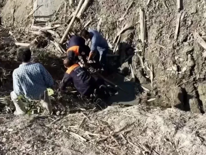 吵架離家遇寒流 高雄男困5米深溝險失溫喪命