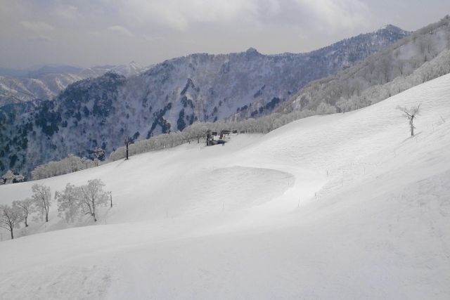 台男北海道滑雪偏離雪道迷途 警派直升機助平安脫困