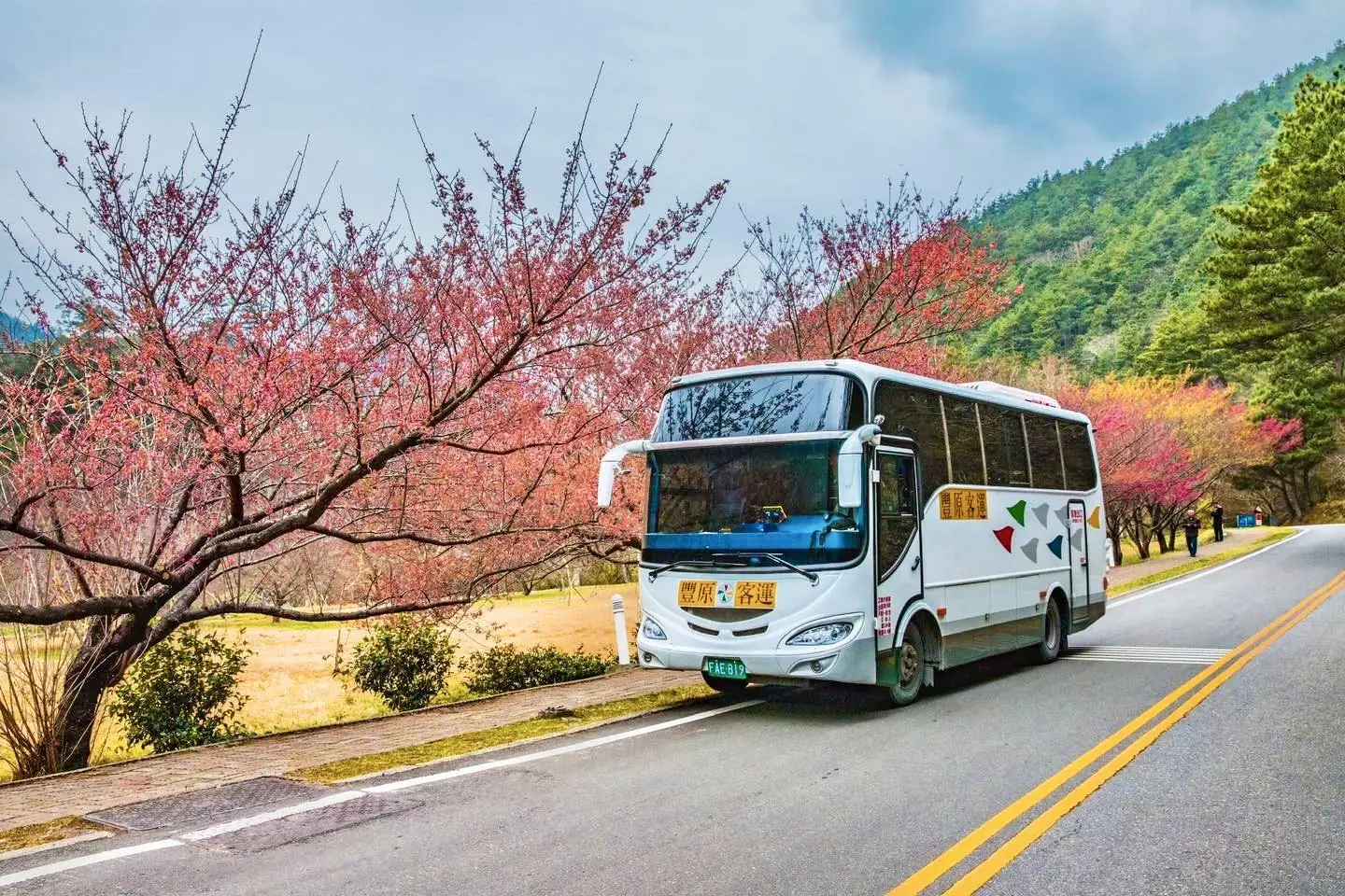 泰樂、國光、豐原客運齊發 「tbs臺北轉運站APP」1/7搶賞櫻車票最快 泰樂、國光、豐原客運齊發 「tbs臺北轉運站APP」1/7搶賞櫻車票最快