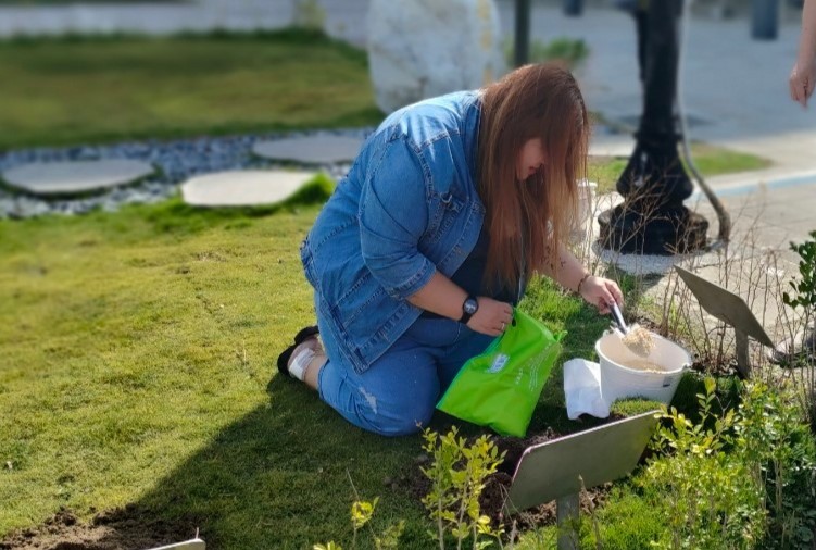 桃園納骨塔遷出改環保葬最高領2萬 樹葬區不論戶籍地一律免費 sf96s5d