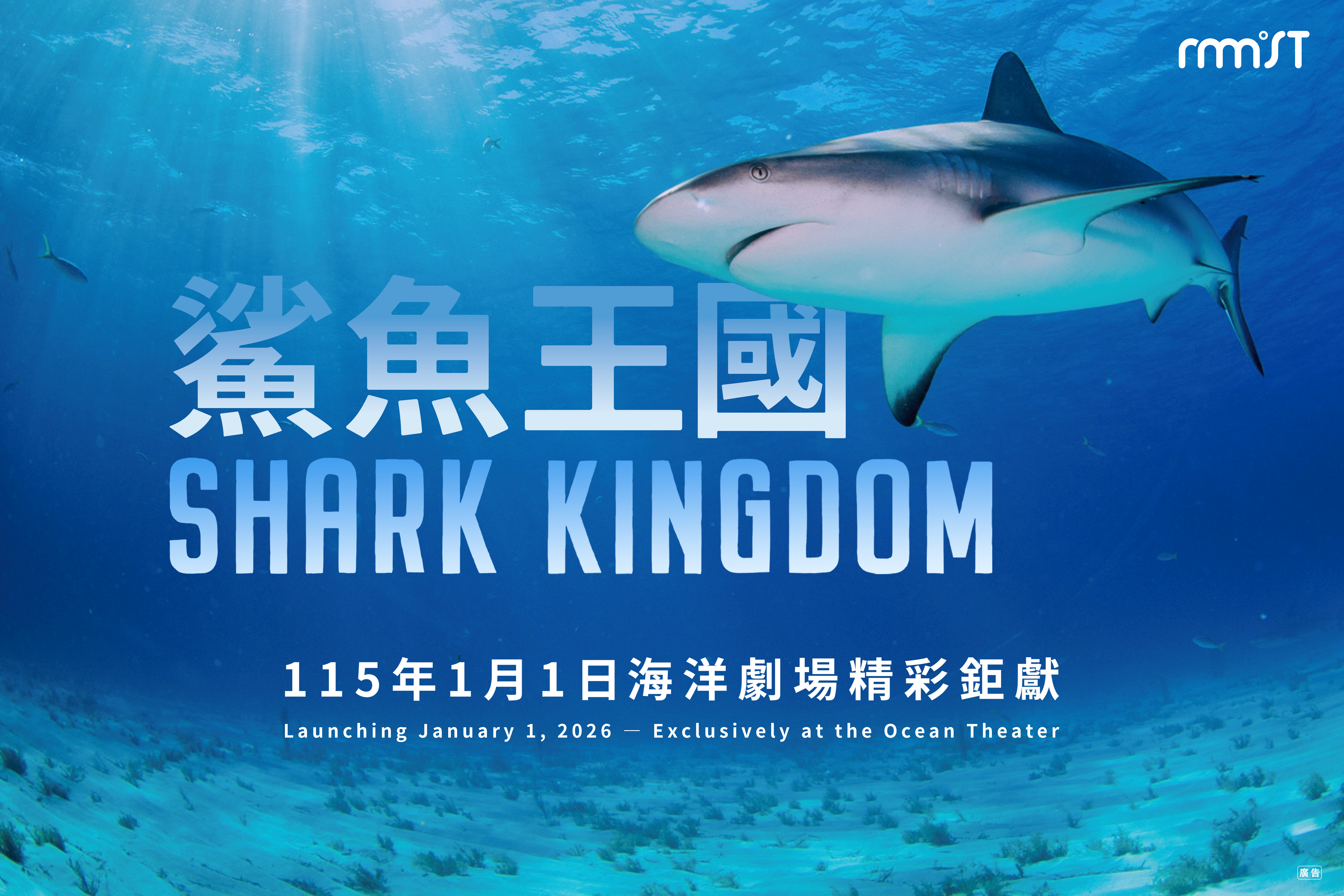 全臺博物館首映！海科館《鯊魚王國》巨幕登場