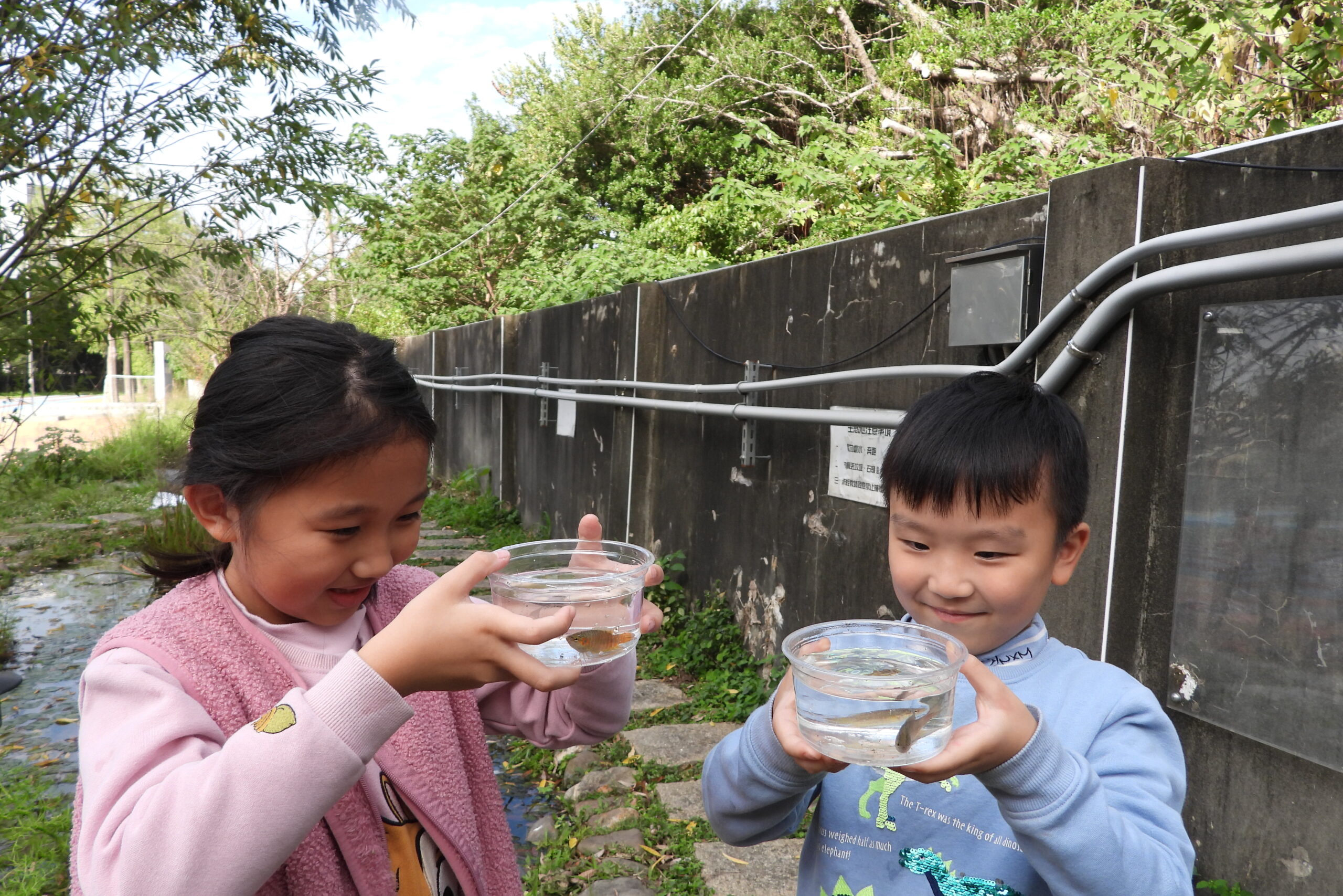 自立國小02 水生生物調查活動與觀察 0 0 scaled