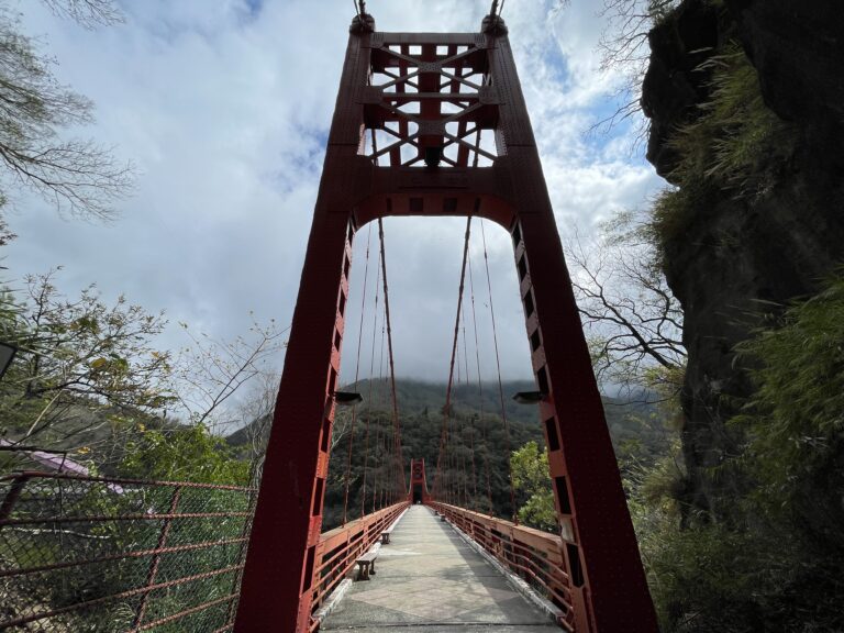 年假九天玩桃園！15條走春遊程全攻略出爐 燈會接力點亮虎頭山