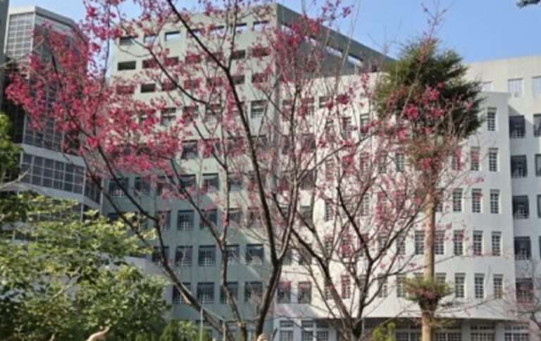 春節連假熬夜飲食不定時 桃療籲勿自行停藥影響情緒調節