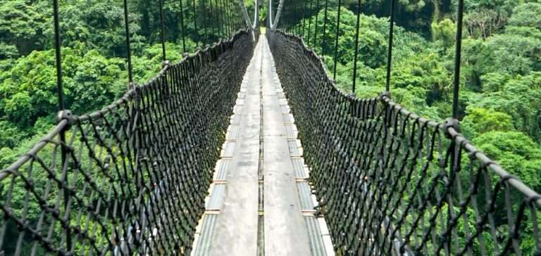桃園小烏來風景特定區挑戰天空繩橋燃燒熱量 漫步水岸綠廊享受美景