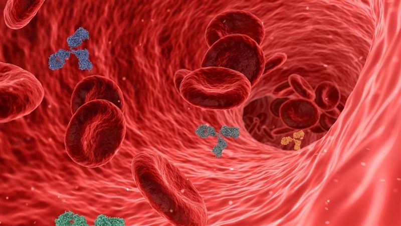 年後血管太高壓恐害中風!醫揭關鍵修復期