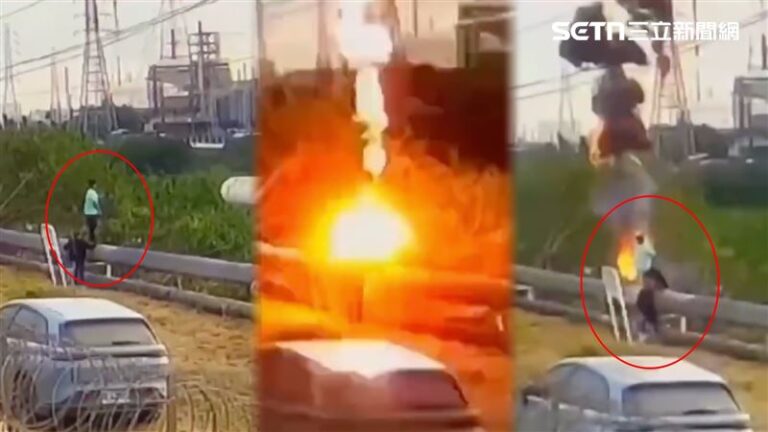 焚肉身畫面曝！抓綠鬣蜥…誤觸1.2萬伏特