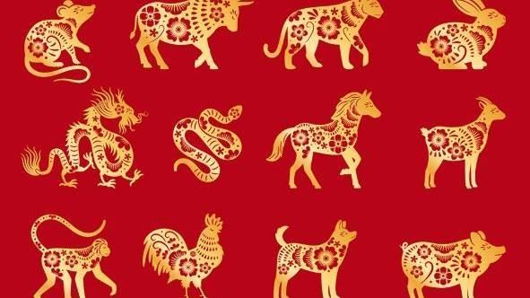 性格決定財富厚度 專家揭秘四大生肖如何穩定累積資產