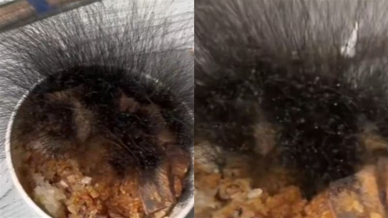 牛肉飯長出茂密黑髮?醫解答真相