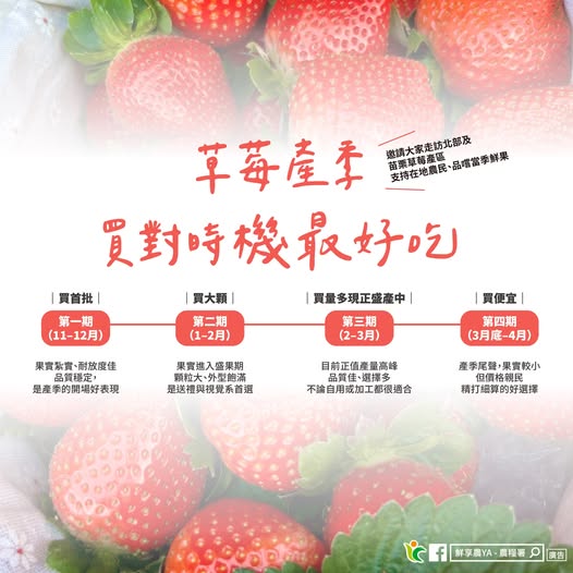 627748314 1215314094080552 6414794035071401153 n