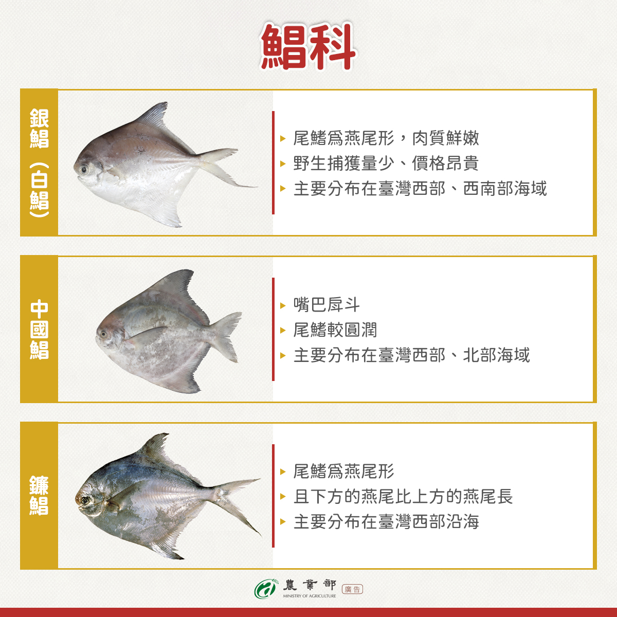 631354920 1332595405575869 7843261659917843635 n