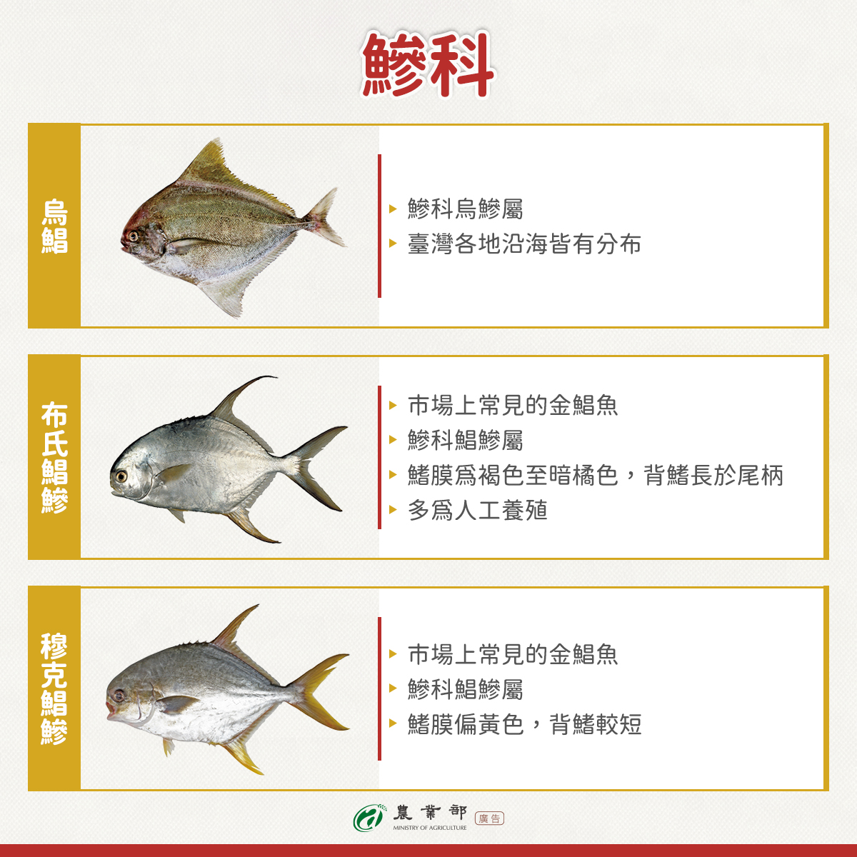 633554413 1332595402242536 2701691858538491518 n