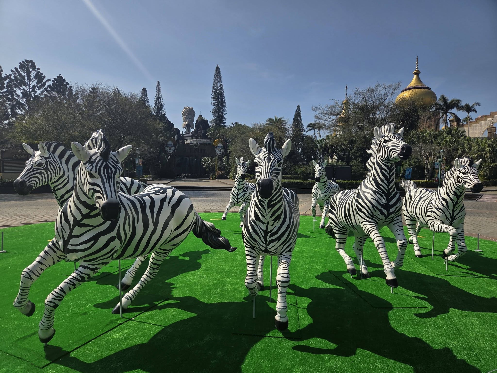 634787260 1353276550169226 5835432037542187348 n