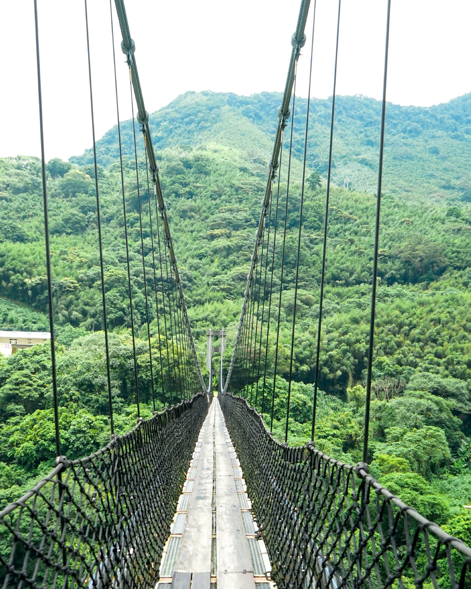 桃園小烏來風景特定區挑戰天空繩橋燃燒熱量 漫步水岸綠廊享受美景 634995235 1206874301654653 689259536591911319 n