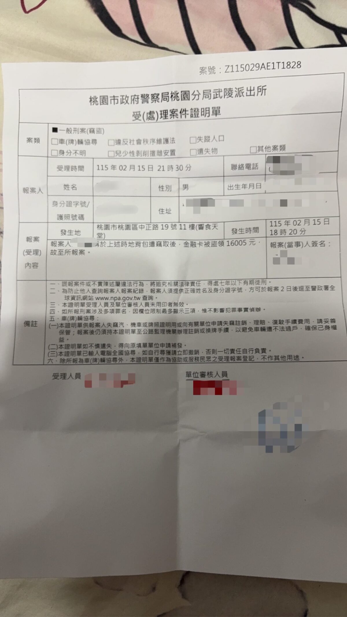 635497452 17899130430384057 1118098700881452287 n