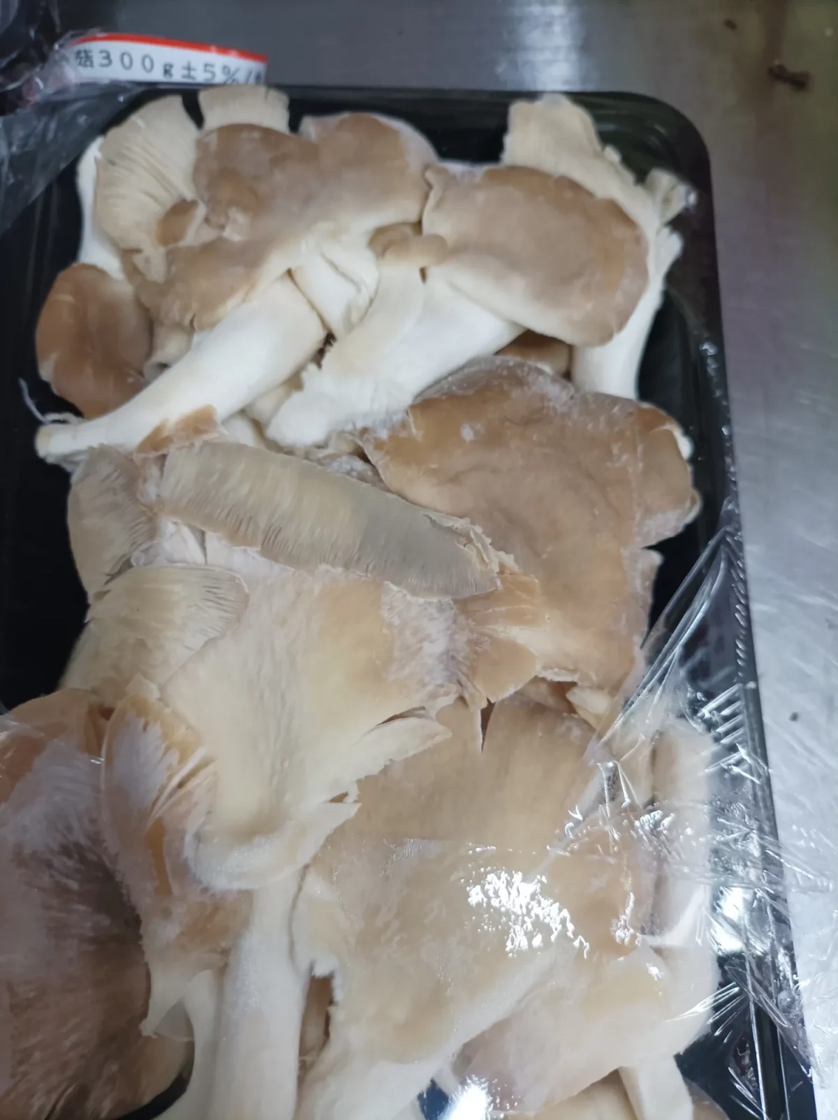 641022920 17869815696558891 2567739879316120622 n