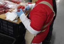 大全聯食安危機、勞資爭議連環爆 前員工怒控主管單月班表改5次