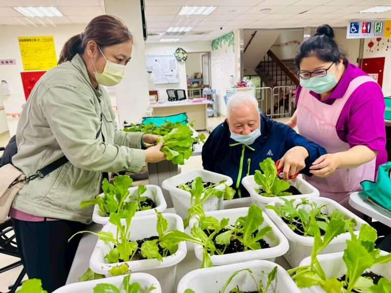 北榮桃園分院攜手農改場 護理之家長輩「學種菜」找回生活重心