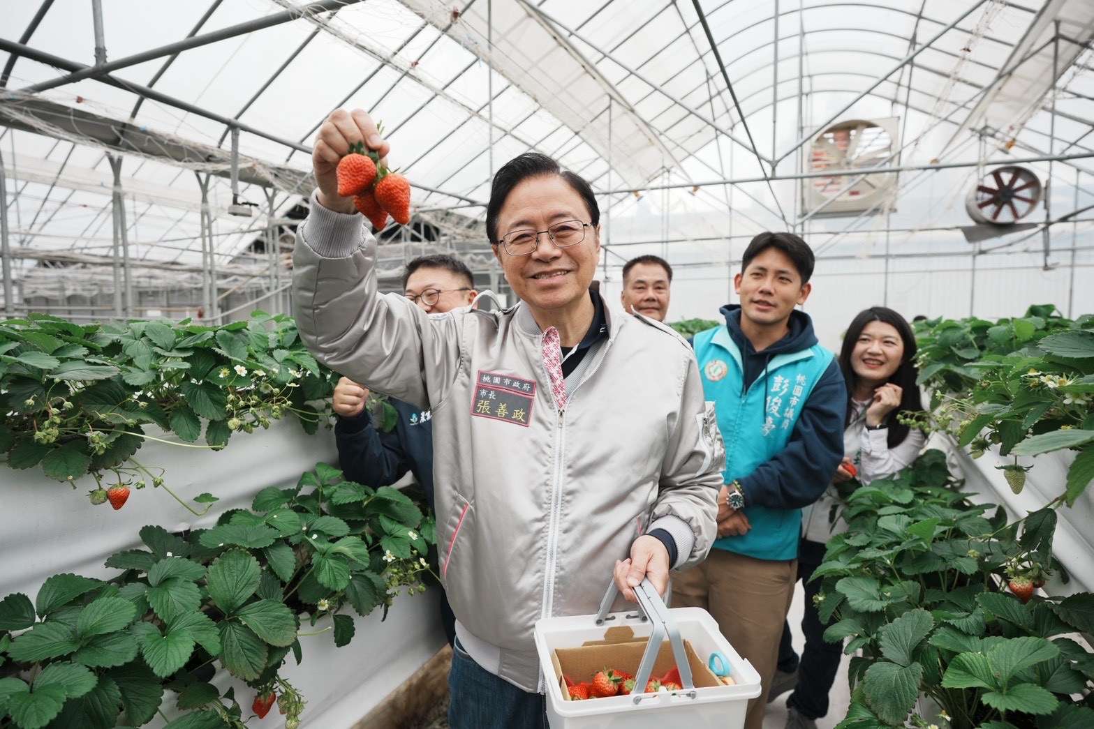 桃園草莓季正紅！張善政走春採果體驗AI智慧導覽地圖新魅力