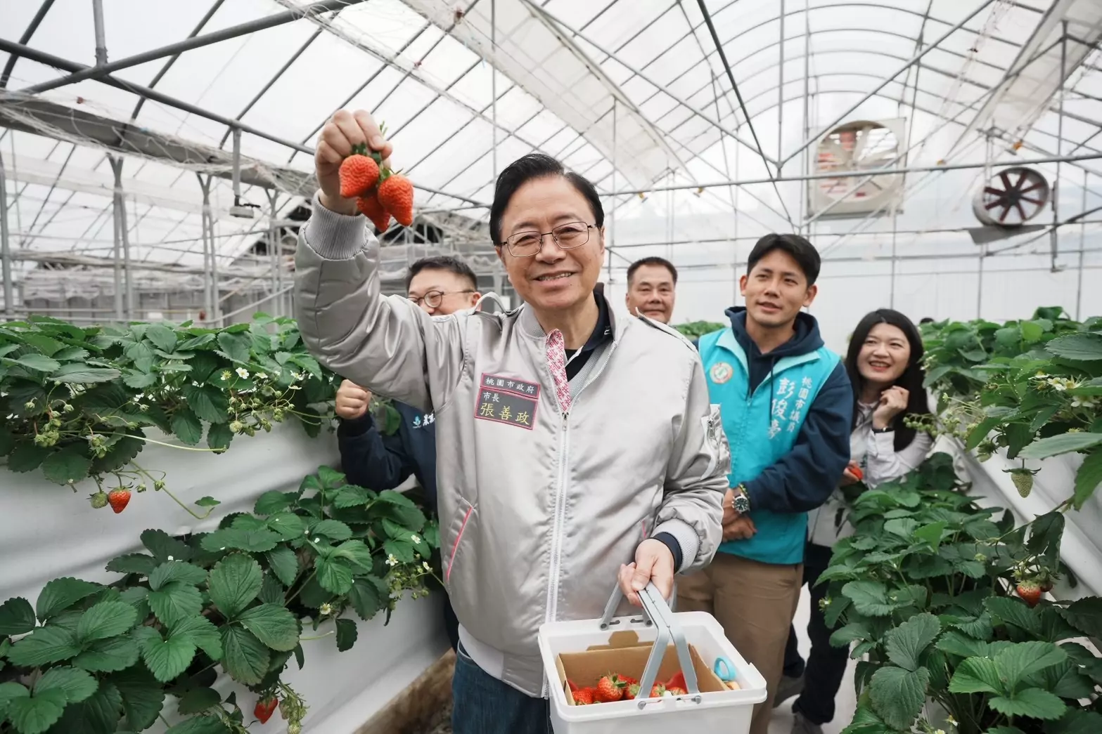 桃園草莓季正紅!張善政走春採果體驗AI智慧導覽地圖新魅力 桃園草莓季正紅!張善政走春採果體驗AI智慧導覽地圖新魅力