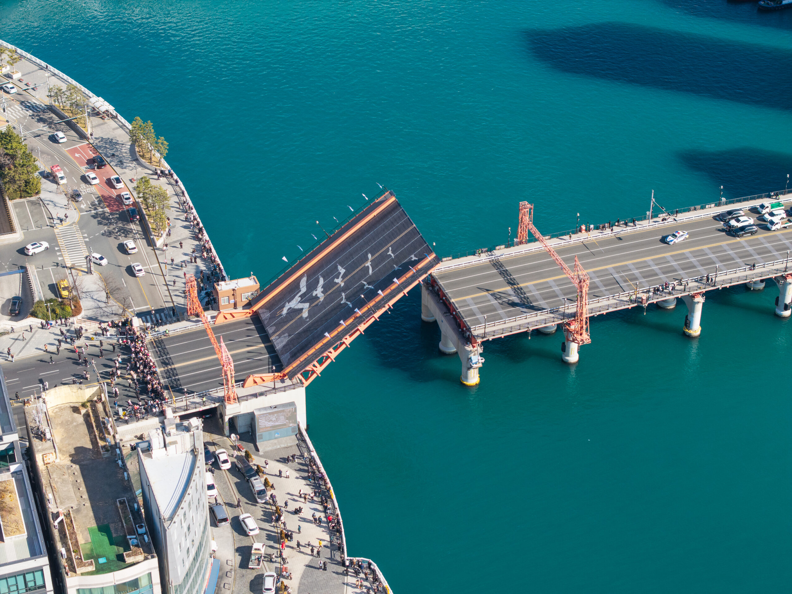 桃機直飛釜山新選擇 星宇航空6/1開闢首條韓國航線 S 7635004 0 scaled