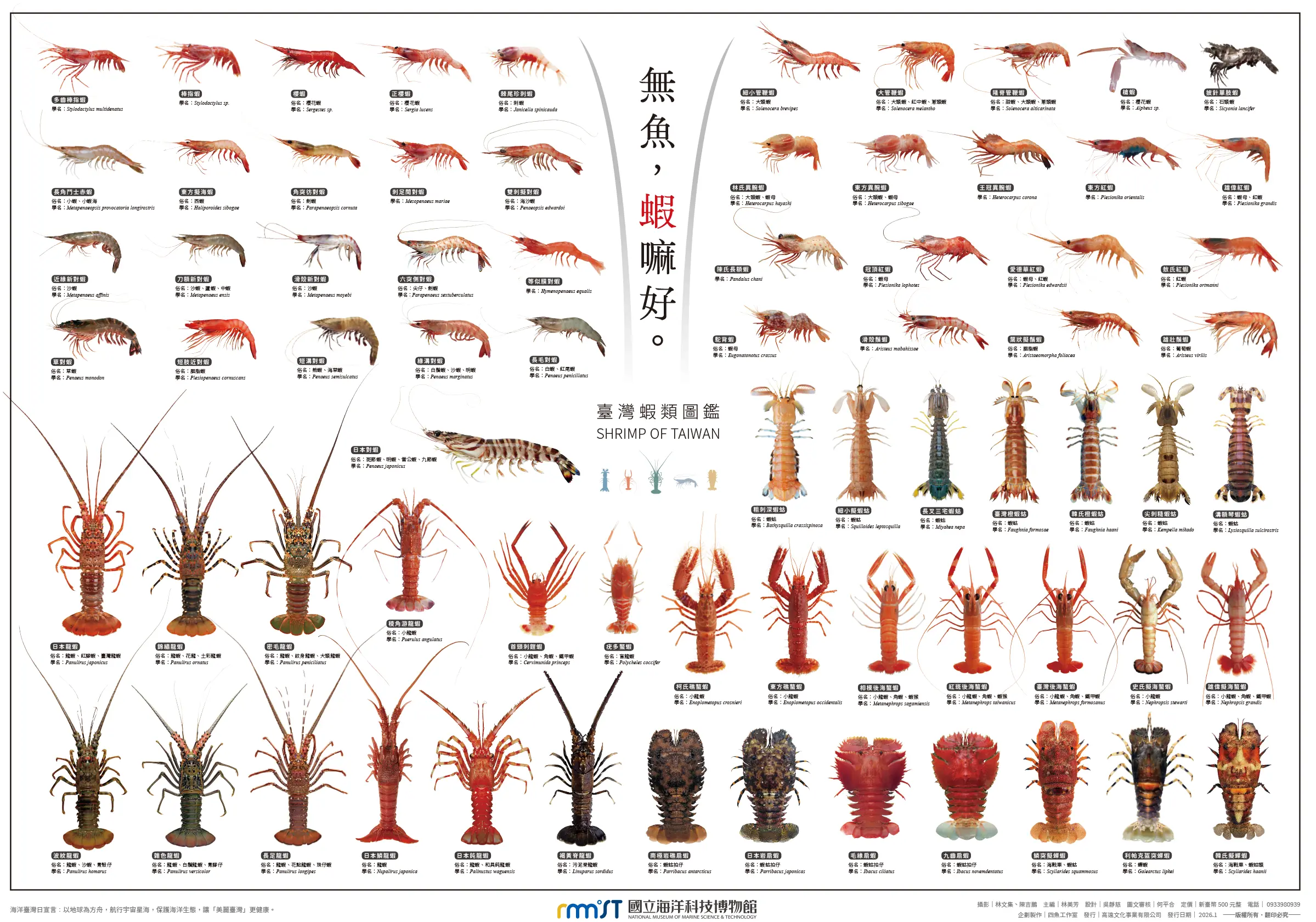 海科館推出《臺灣蝦類圖鑑》海報 從生活中認識海洋生物 海科館推出《臺灣蝦類圖鑑》海報 從生活中認識海洋生物