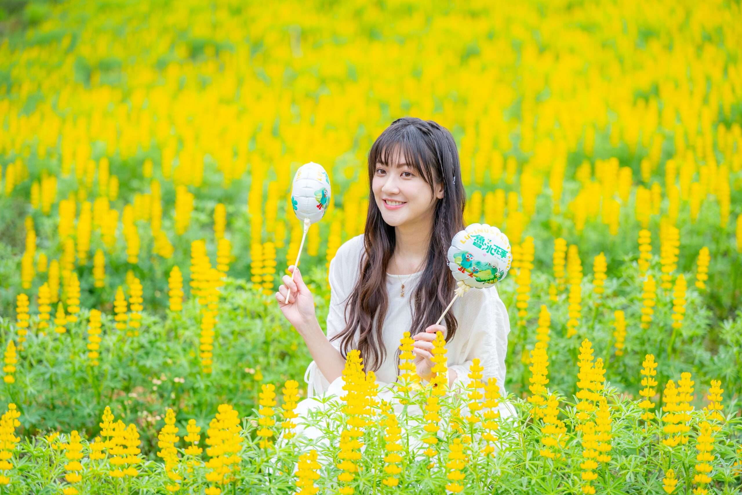 2026桃園魯冰花季熱鬧登場 深度體驗客家文化與龍潭自然之美