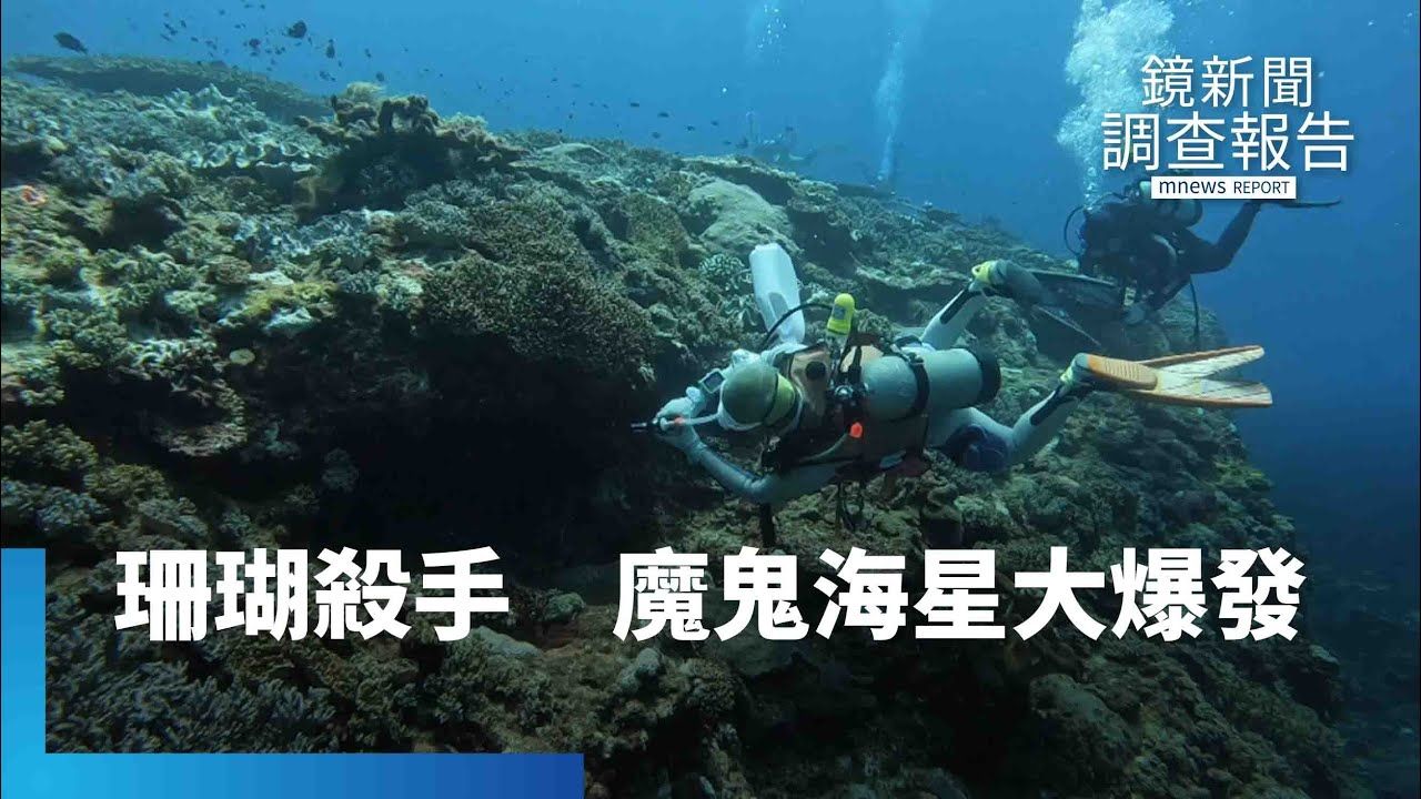 如同外星生物有水就活!魔鬼海星圓盤體型360度長出21腕足 東沙環礁「珊瑚」生態告急