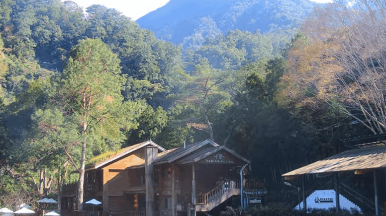 失聯8日！37歲男獨攀八仙山墜谷亡　空勤吊掛遺體下山