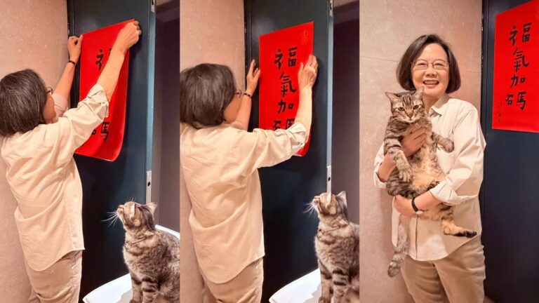 除夕最萌監督員上線！蔡英文貼春聯愛貓盯場　笑喊：不敢貼歪