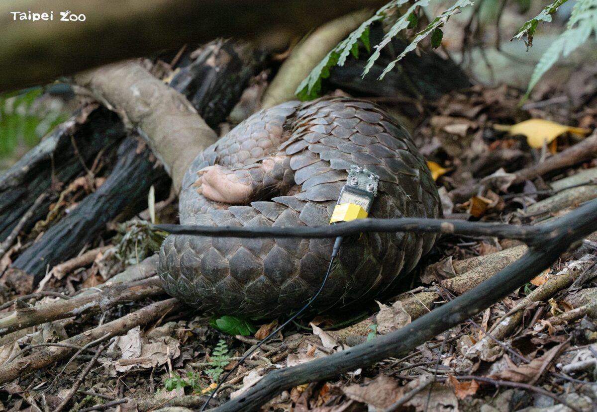 db0bcdb1 70f6 4a32 8aed dac0bb97b0d0