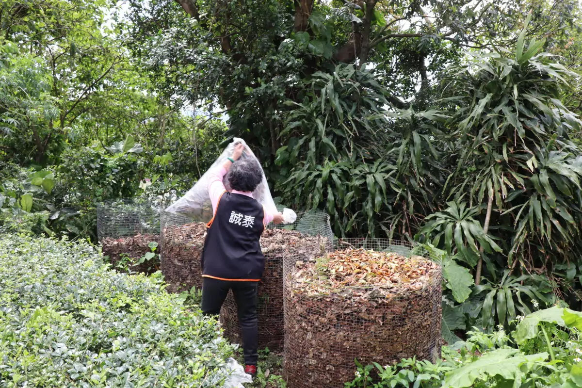 大溪木博館打造永續美學!結合樸門設計建立資源循環 落實低廢棄生活 1212454 3