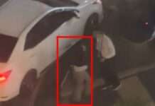 與男方感情、金錢算不清 中壢女街頭變身「球棒隊」理論 與男方感情、金錢算不清 中壢女街頭變身「球棒隊」理論