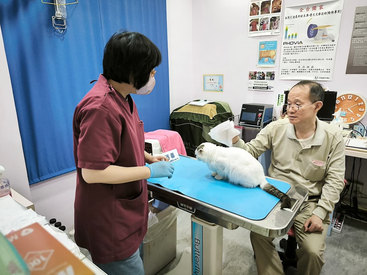 2圖說：獸醫師趙婷婷（左）為毛孩進行檢查，皮膚疾病為犬貓常見健康問題之一。（圖／