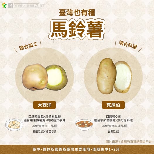 649585948 1241246408153987 3806621559804415859 n