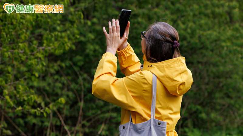 玩皮克敏「日行萬步」很健康?醫:小心運動傷害 7千步就夠 玩皮克敏「日行萬步」很健康?醫:小心運動傷害 7千步就夠