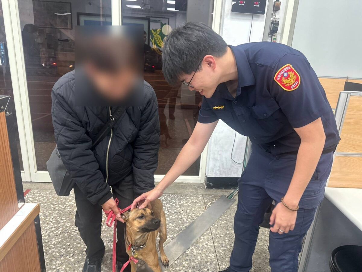 平鎮米克斯犬走失闖車陣!暖警即時救援助飼主團圓 855155 0