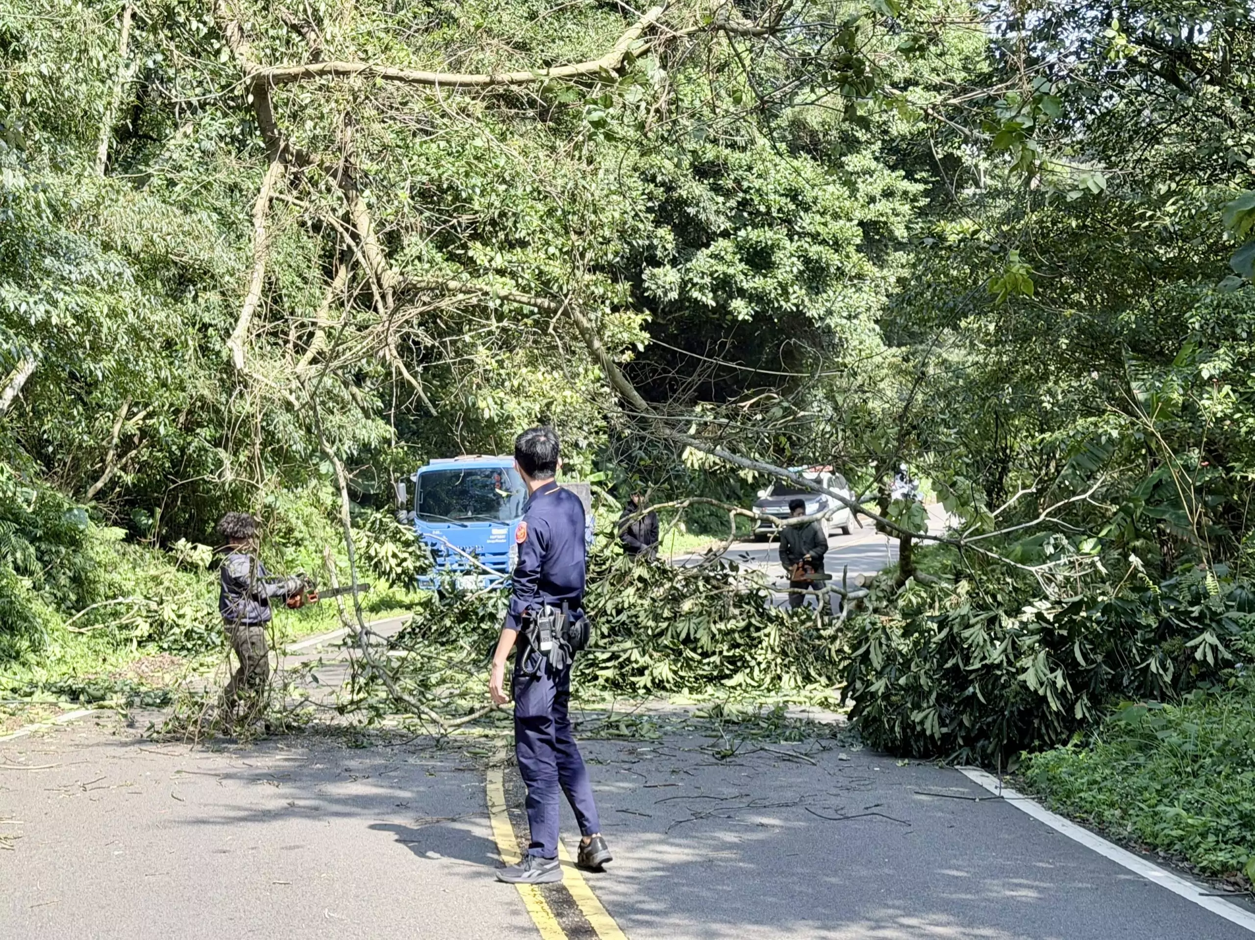 龍潭6級強風吹斷路樹阻通行 警民合力鋸斷移開 S 10297365 scaled