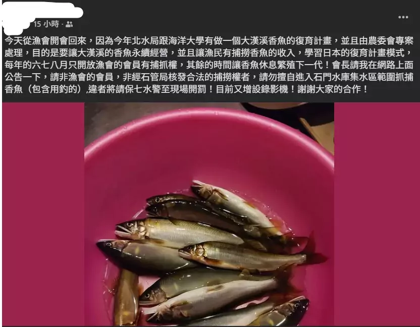 網傳石門水庫私授捕撈權?北水分署澄清:無香魚復育計畫 網傳石門水庫私授捕撈權?北水分署澄清:無香魚復育計畫