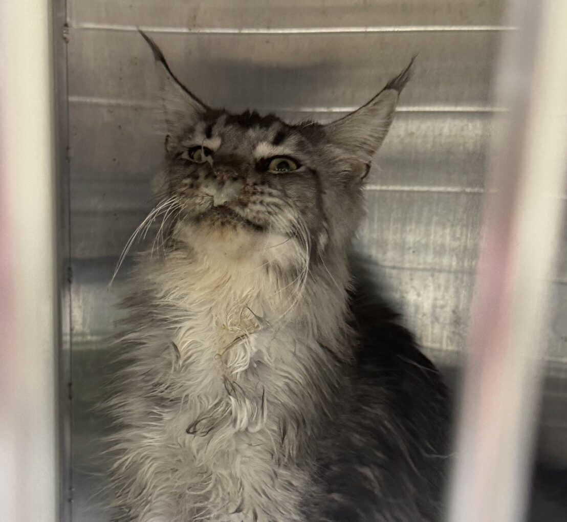 S 3653651 0 e1774427284304