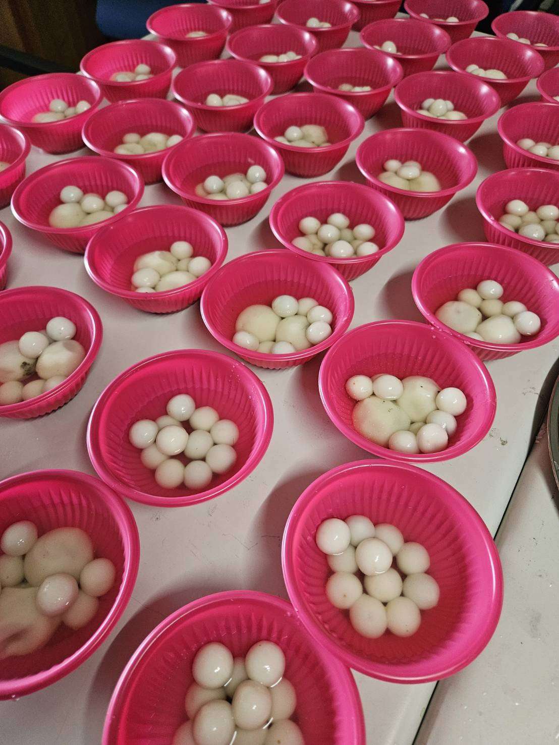 開南大學舉辦元宵節文化體驗活動 國際學生DIY提燈、吃湯圓 S 39395347 0