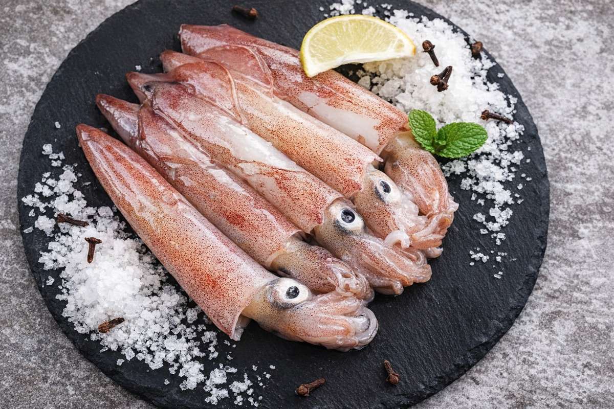 澎湖小管料理現撈現做 藏身馬公老街的低調海味名店!