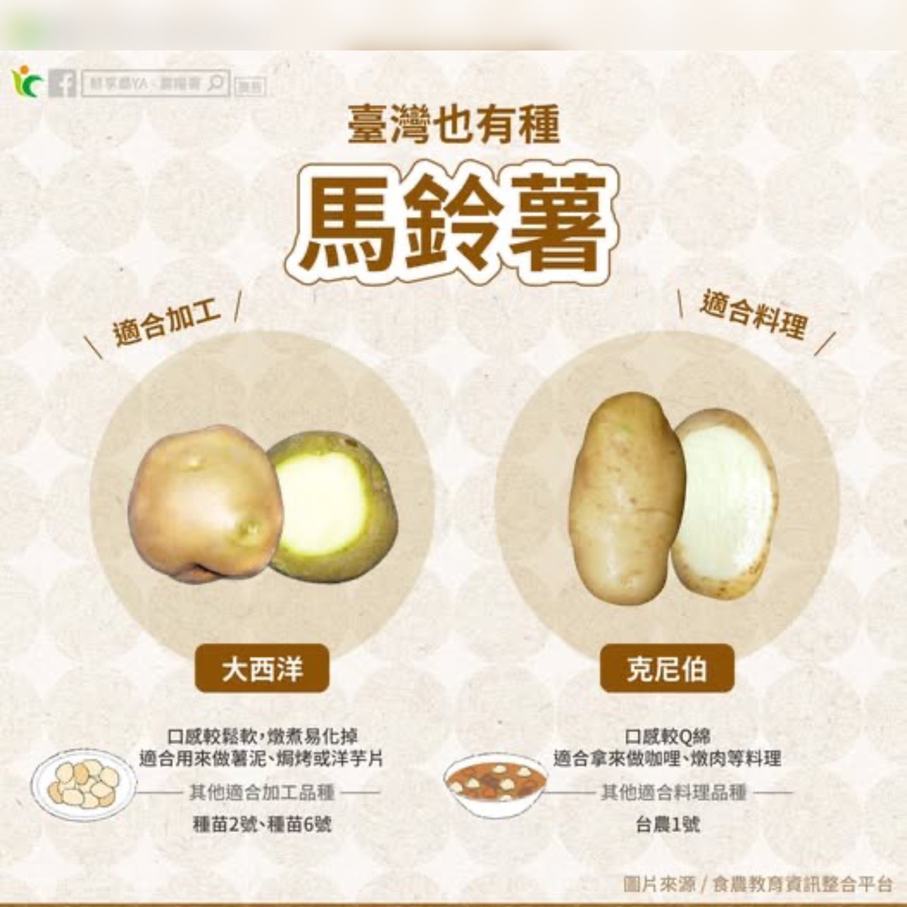 馬鈴薯進入盛產期!農糧署曝挑選祕訣:這品種口感最Q綿 馬鈴薯進入盛產期!農糧署曝挑選祕訣:這品種口感最Q綿