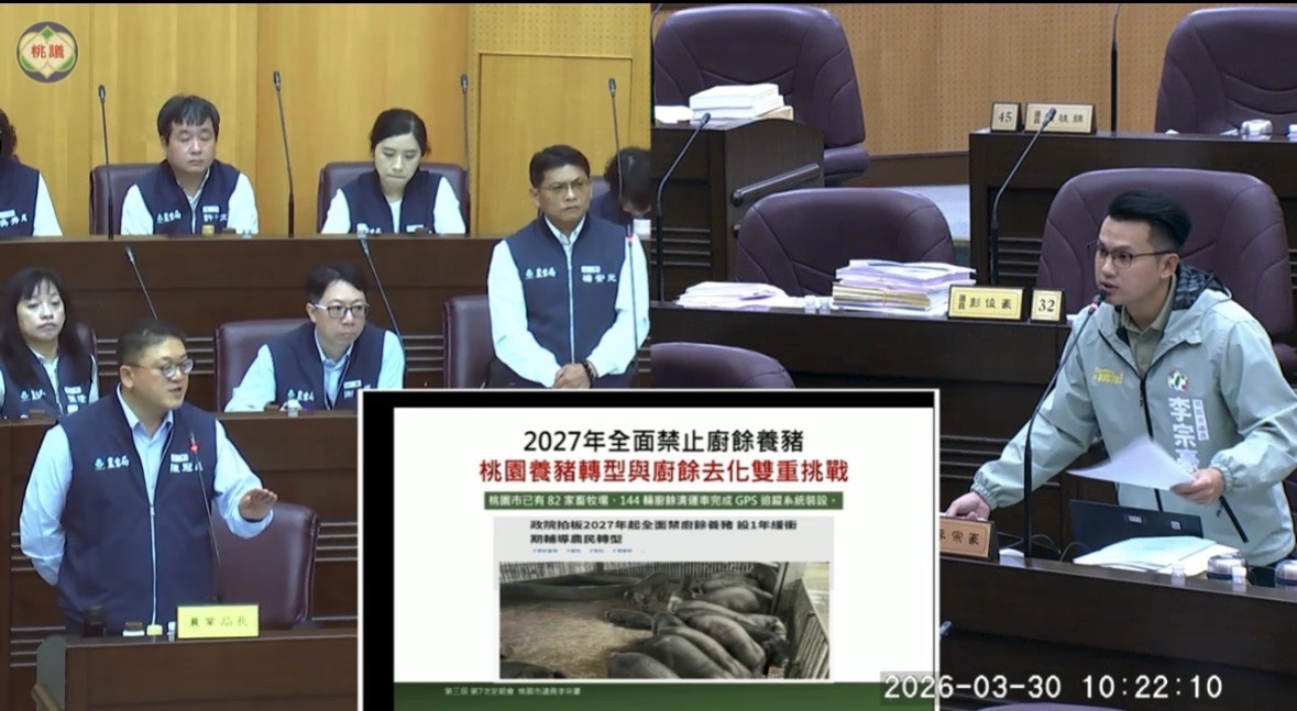 桃園黑毛豬面臨禁廚餘危機!李宗豪籲靠「這物」替代蛋白來源 S 79708232