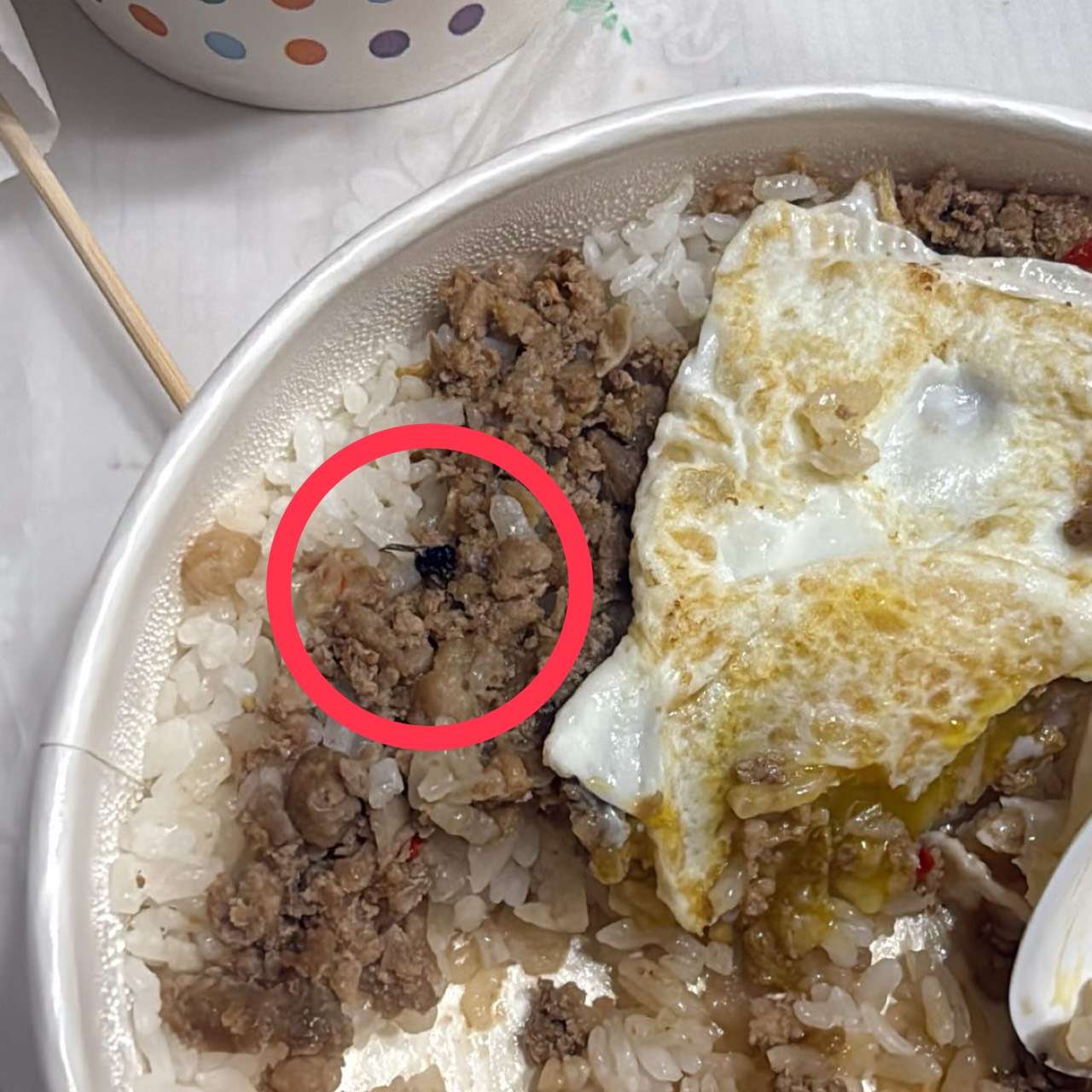 加料不加價?桃園站前宵夜店遭爆濃湯酸掉、飯藏蒼蠅 加料不加價?桃園站前宵夜店遭爆濃湯酸掉、飯藏蒼蠅