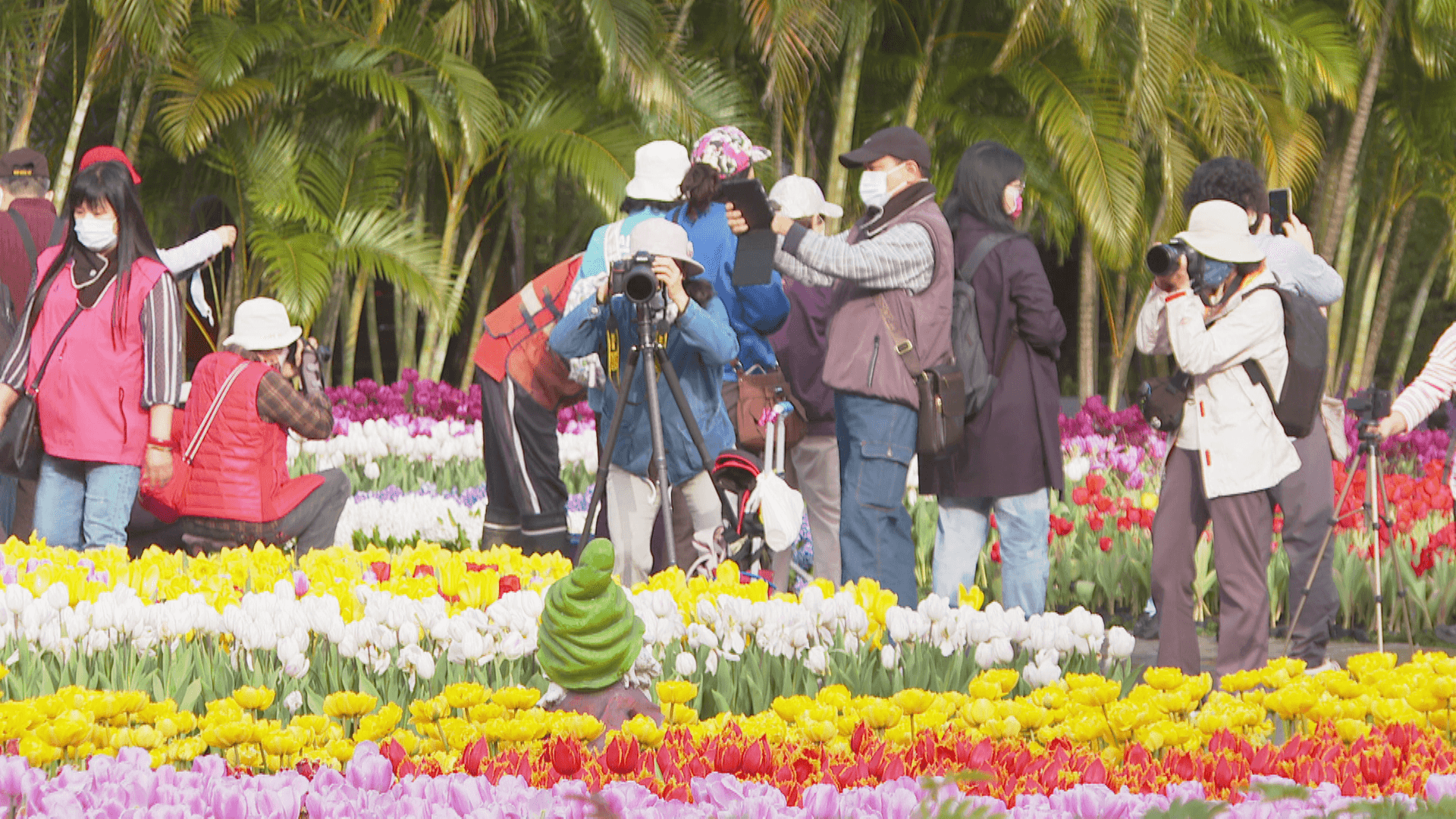 傳國旅補助未納入718億預算 觀光署澄清:已編列,待立院審議 傳國旅補助未納入718億預算 觀光署澄清:已編列,待立院審議