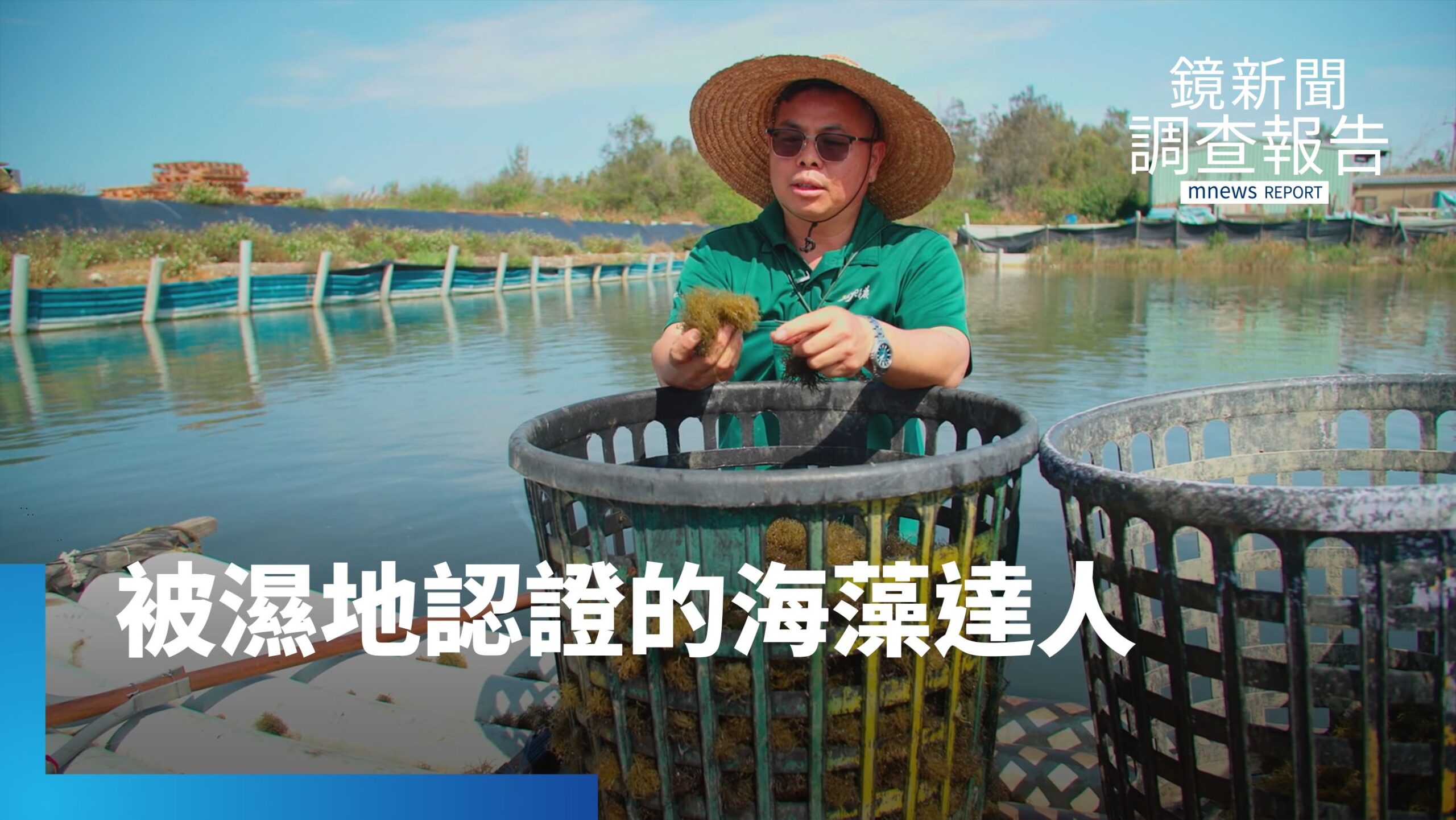 候鳥與濕地救產業!嘉義魚塭轉型生態休閒漁場露生機|永續行動 標章指南 候鳥與濕地救產業!嘉義魚塭轉型生態休閒漁場露生機|永續行動 標章指南