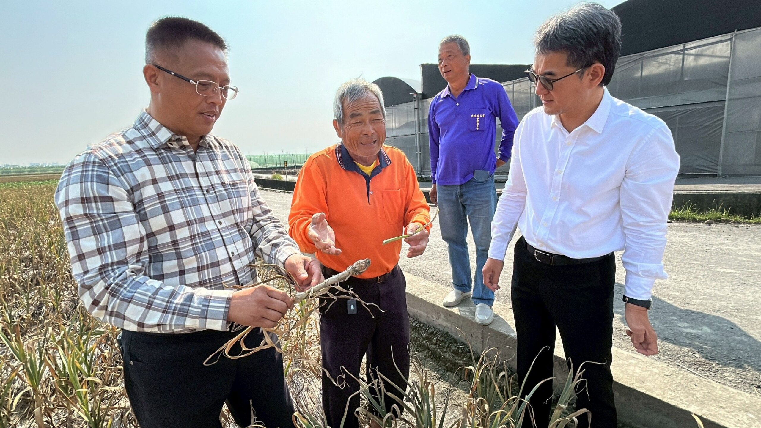 強力保護!劉建國促成大蒜價格穩定措施 臺灣蒜農協會感謝長期相挺蒜農 強力保護!劉建國促成大蒜價格穩定措施 臺灣蒜農協會感謝長期相挺蒜農