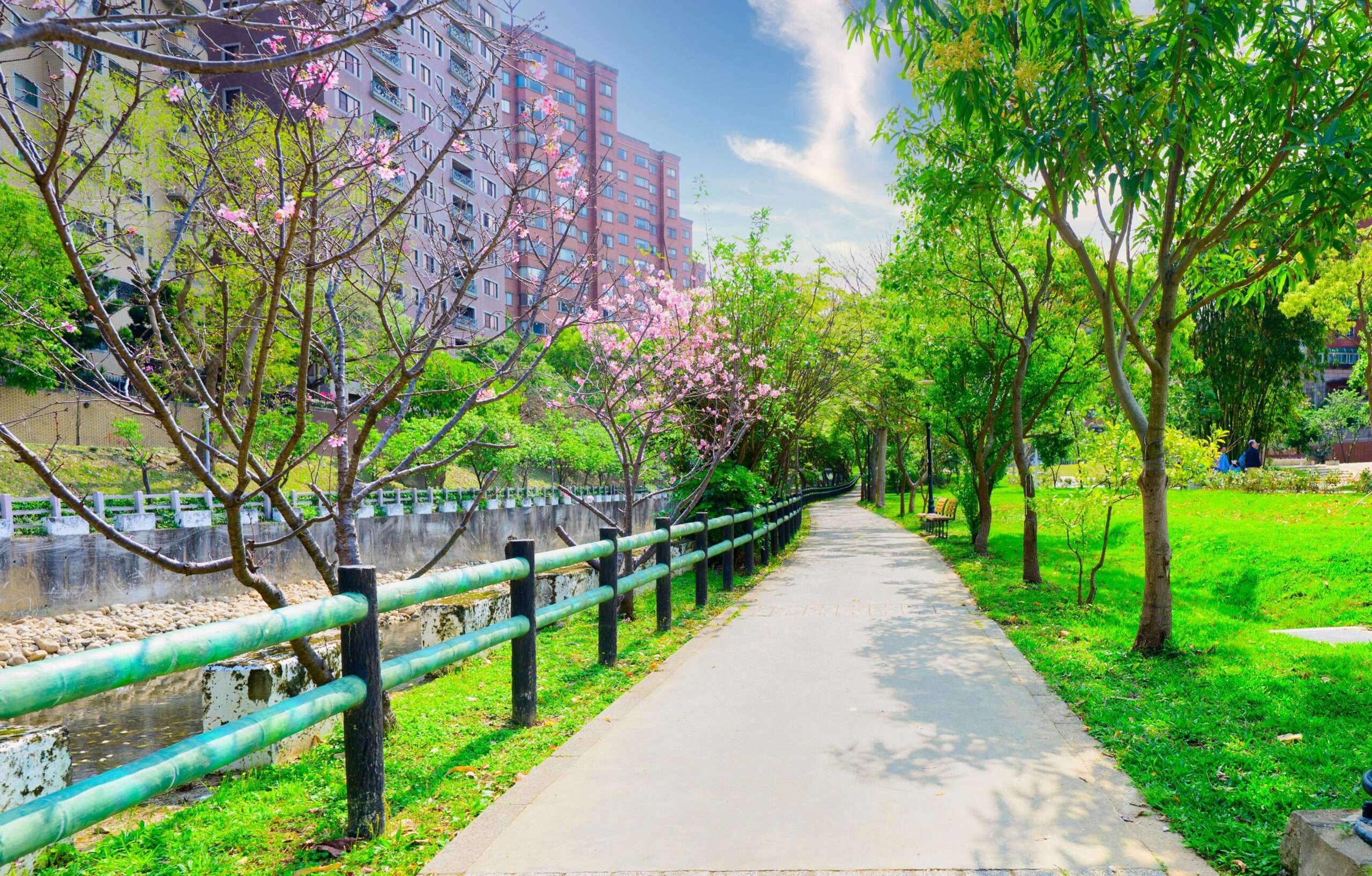 蘆竹大坑溪步道改善完工！斥5500萬優化6痛點